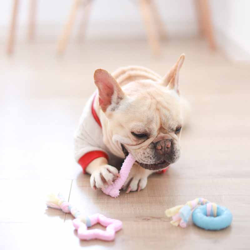 Dog Donut Chewing Toy – Frenchiely