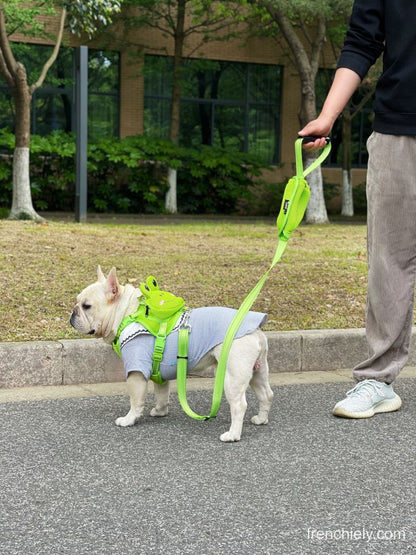 Dog Duck Mesh Backpack Harness Bag with Leash – Frenchiely