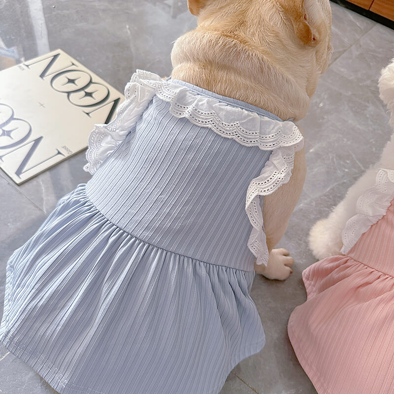 dog pink and blue summer dress for small medium dogs 