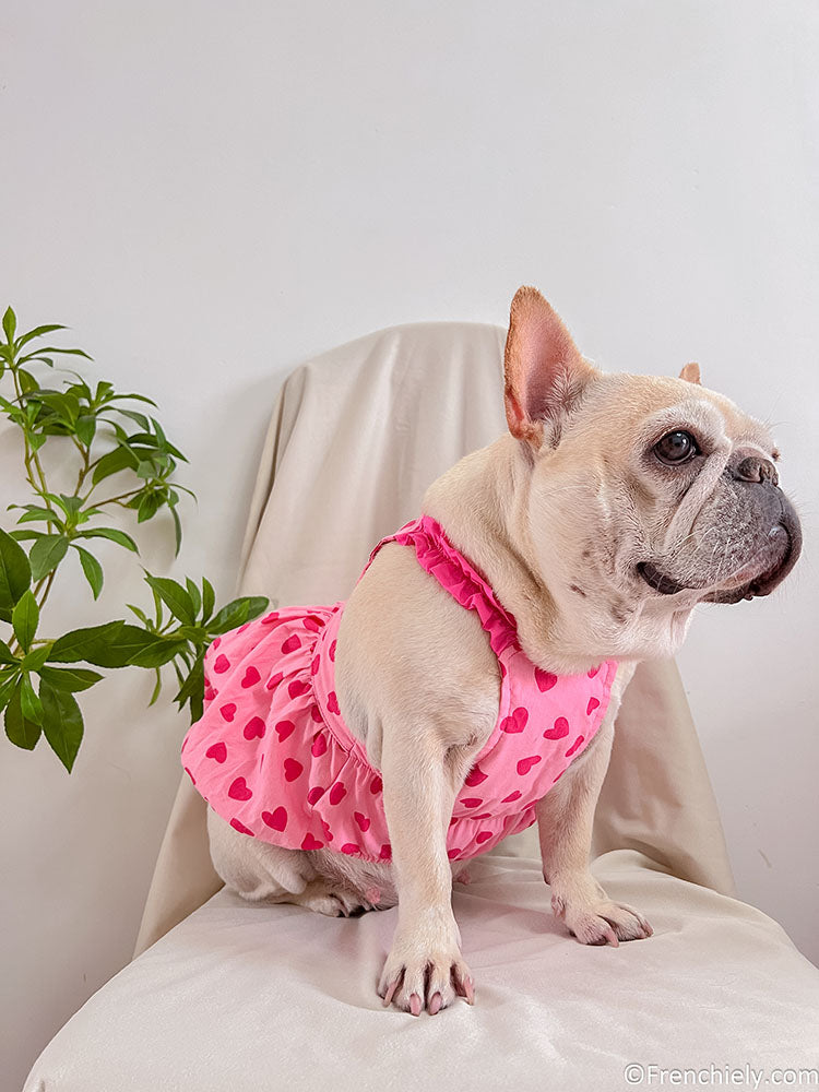 Dog in pink outlet dress