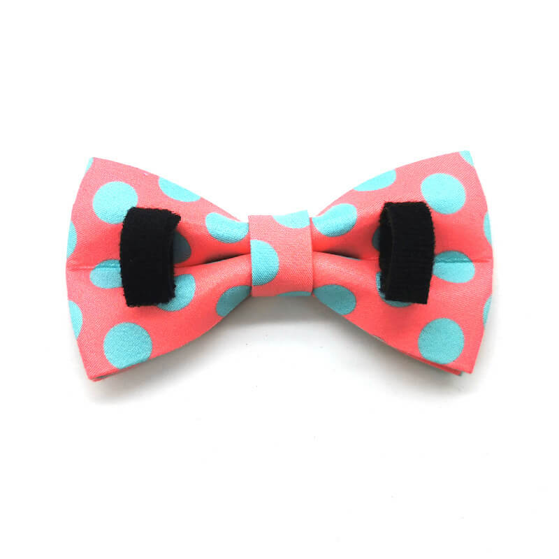 Dog Colored Polka Bow Tie - Frenchiely