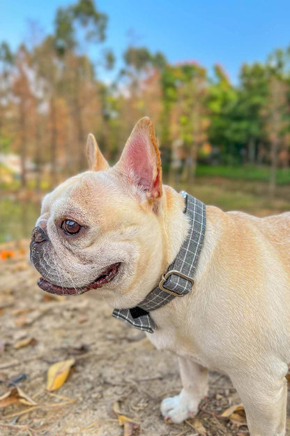 Dog Grey Plaid Collar - Frenchiely