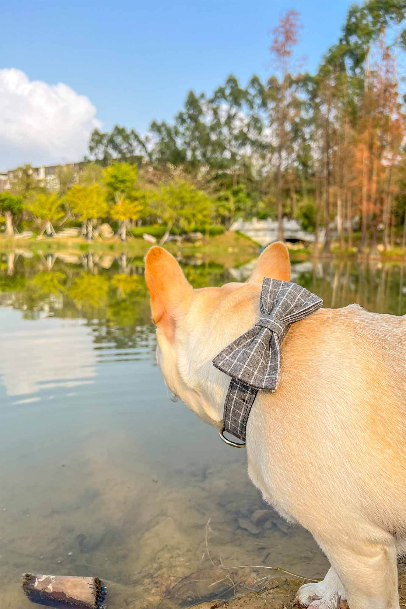 Dog Grey Plaid Collar - Frenchiely