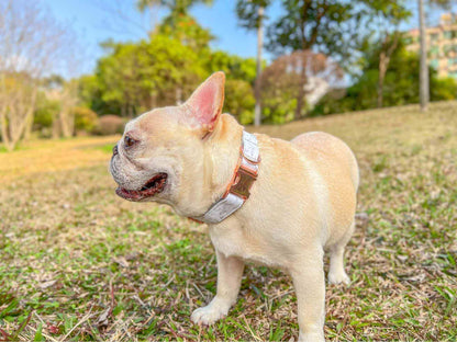 Dog Marble White Collar Leash Set - Frenchiely