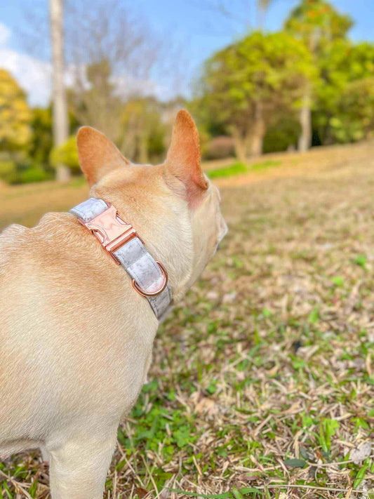 Dog Marble Print Collar - Frenchiely