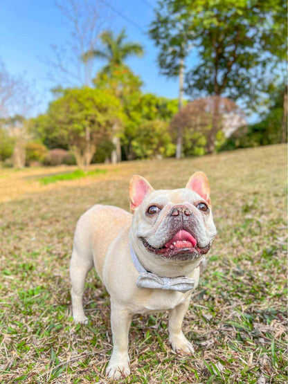 Dog Marble White Collar Leash Set - Frenchiely