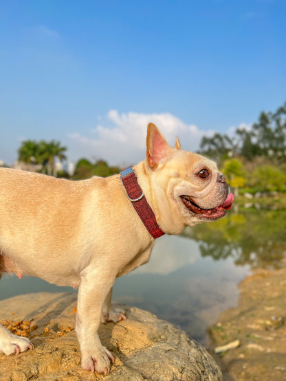 Dog Red Collar - Frenchiely