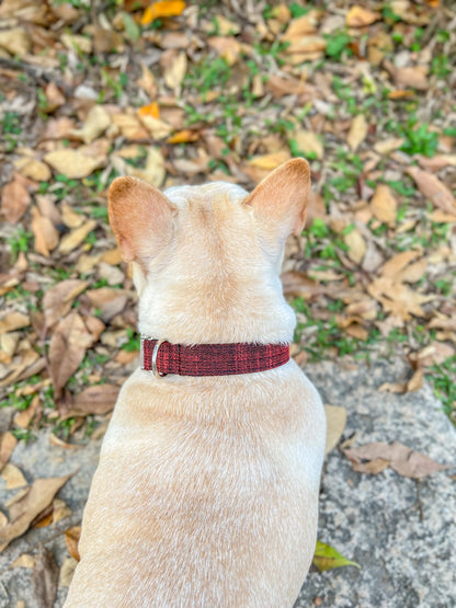 Dog Red Collar - Frenchiely