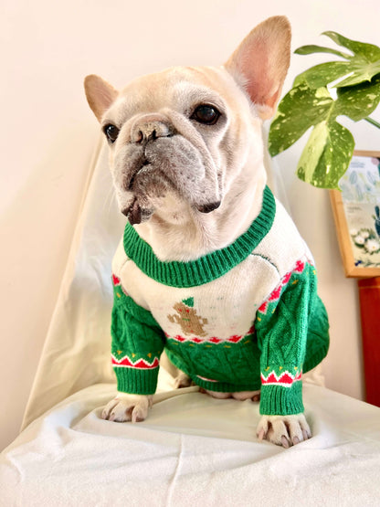 Dog Christmas holiday outfits for medium dogs by Frenchiely.com