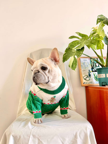 Dog Christmas holiday outfits for medium dogs by Frenchiely.com