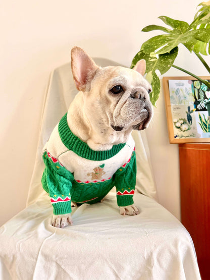 Dog Christmas holiday outfits for medium dogs by Frenchiely.com