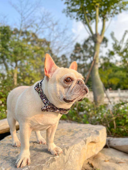 Dog Black Daisy Collar - Frenchiely