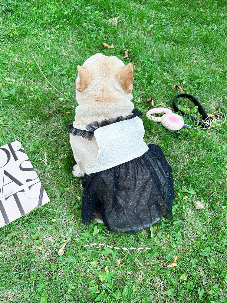 Dog french maid outlet costume