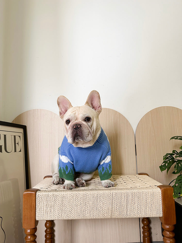 Dog Blue Sky White Clouds Sweater