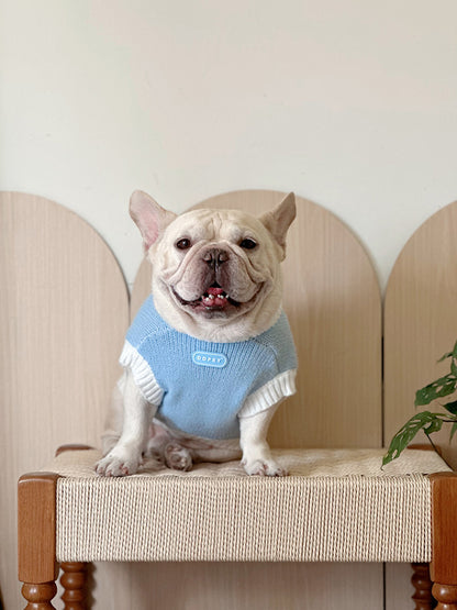 Dog Blue Bear Sweater