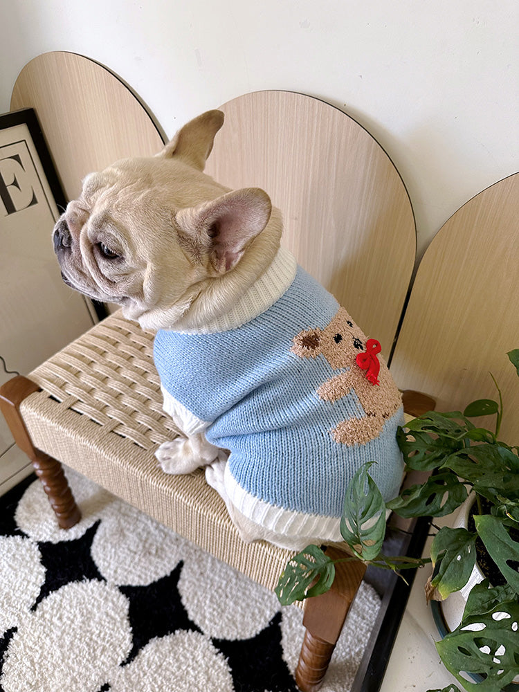 Dog Blue Bear Sweater