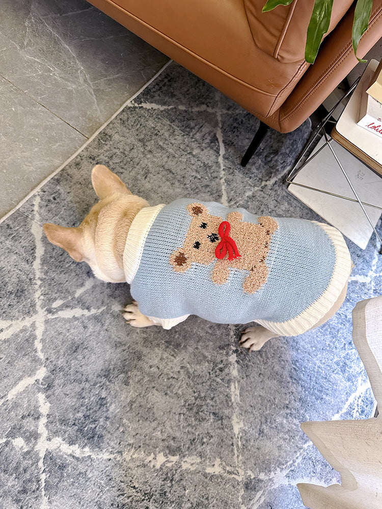 Dog Blue Bear Sweater