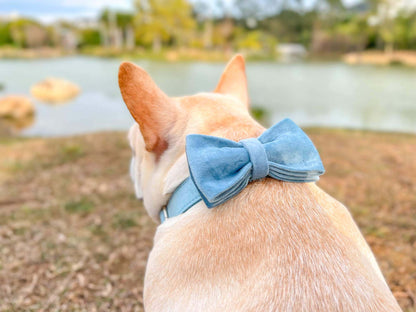 Dog Light Blue Collar Leash Set - Frenchiely