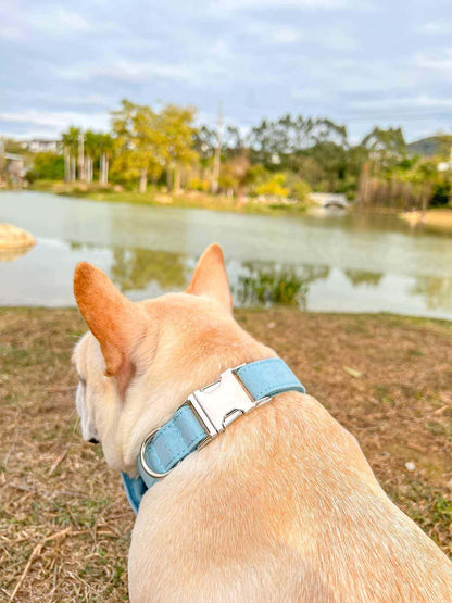 Dog Light Blue Collar - Frenchiely