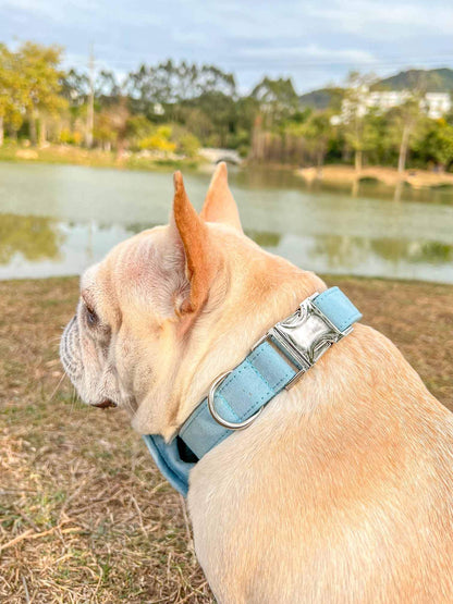 Dog Light Blue Collar Leash Set - Frenchiely