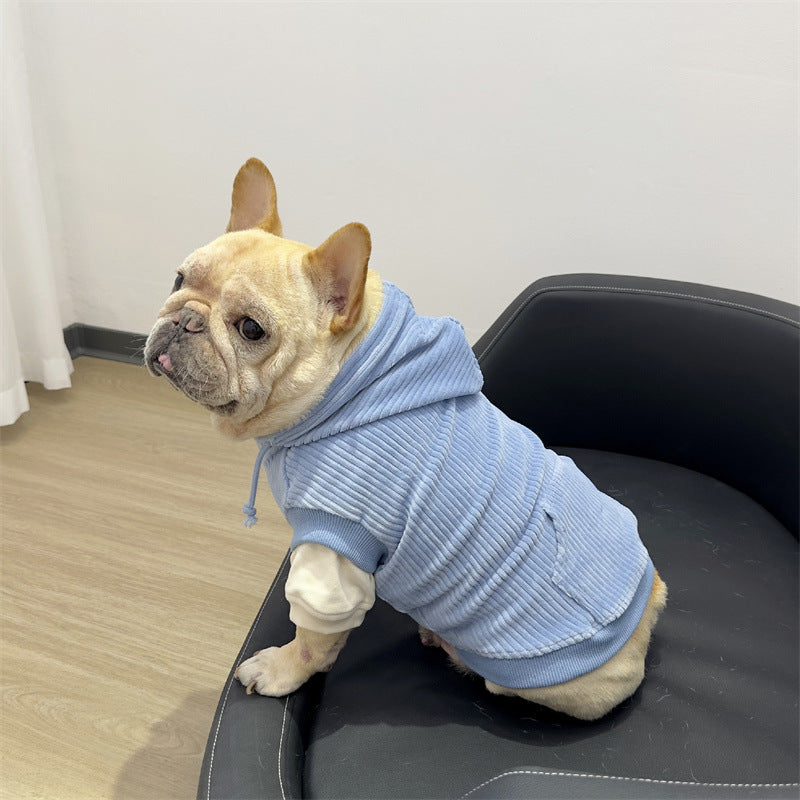 Dog Blue Corduroy Hoodie for Pugs