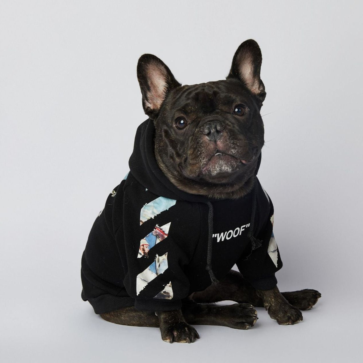 Dog Black & Blue Woof Hoodie - Frenchiely