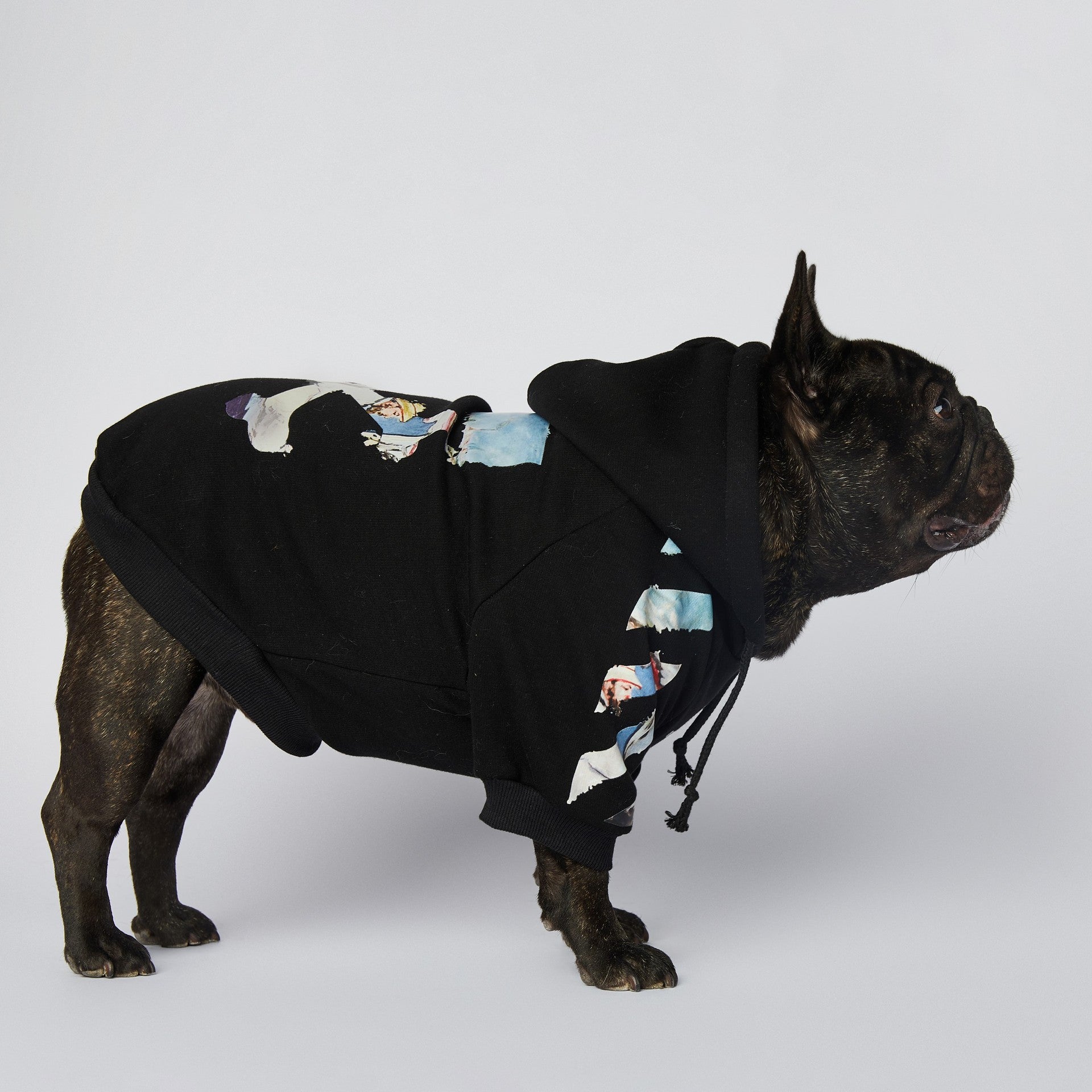 Dog Black & Blue Woof Hoodie - Frenchiely