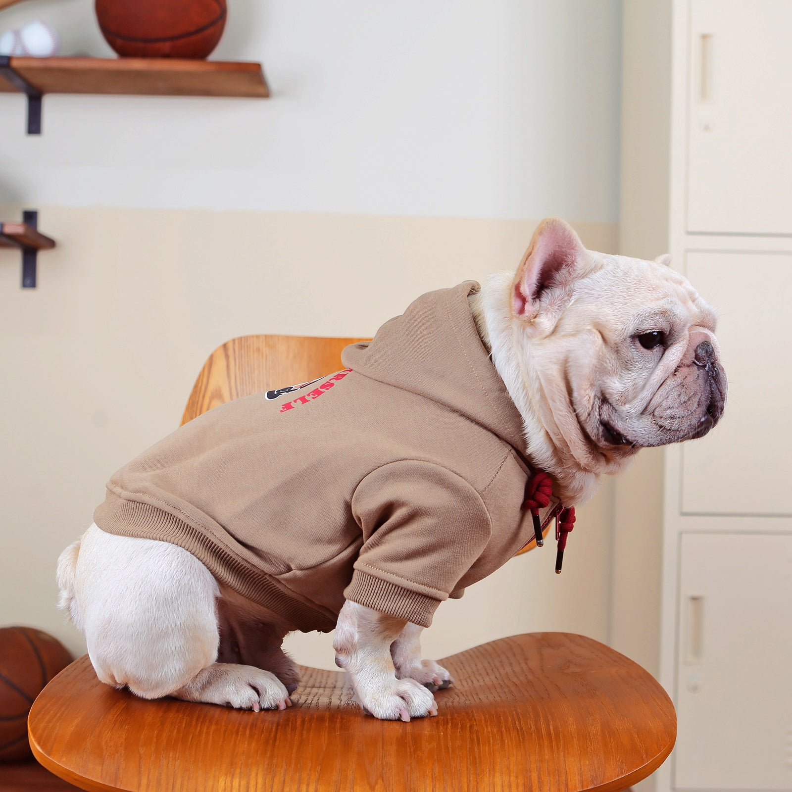 Dog Vintage Brown Zipperup Sweatshirt for medium dog breeds