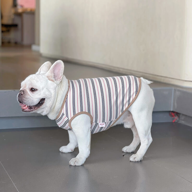 Dog navy stripe shirt for small medium dogs by Frenchiely