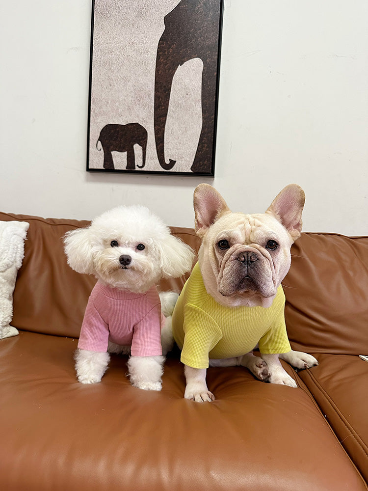 Dog Bunny Shirt for small medium dogs 