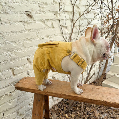 Dog Overalls Jumpsuit 'Have Fun'