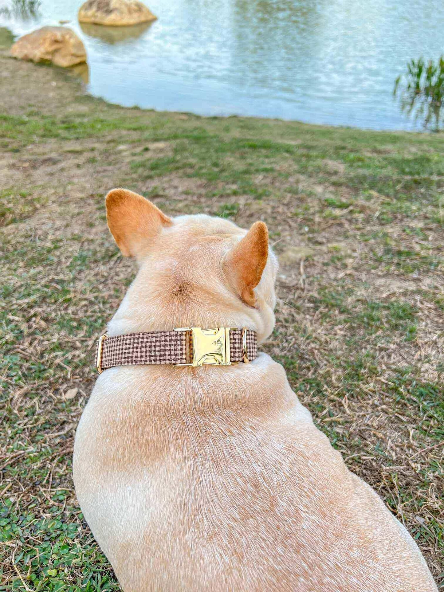 Dog Coffee Leash Set - Frenchiely