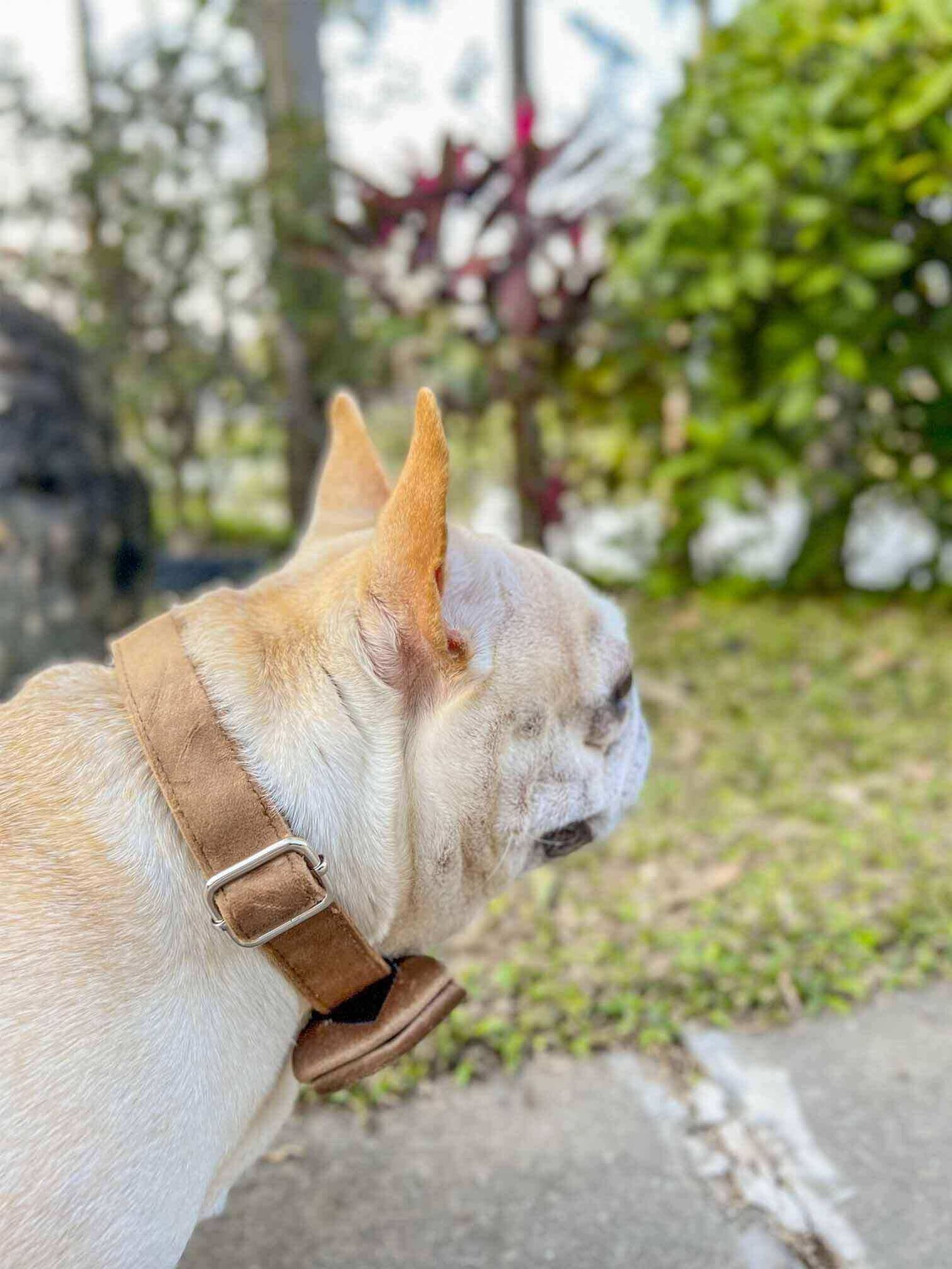 Dog Fawn Collar - Frenchiely