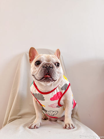 French Bulldog Shirts & Dress | French Bulldog Pet Supply | Frenchiely ...