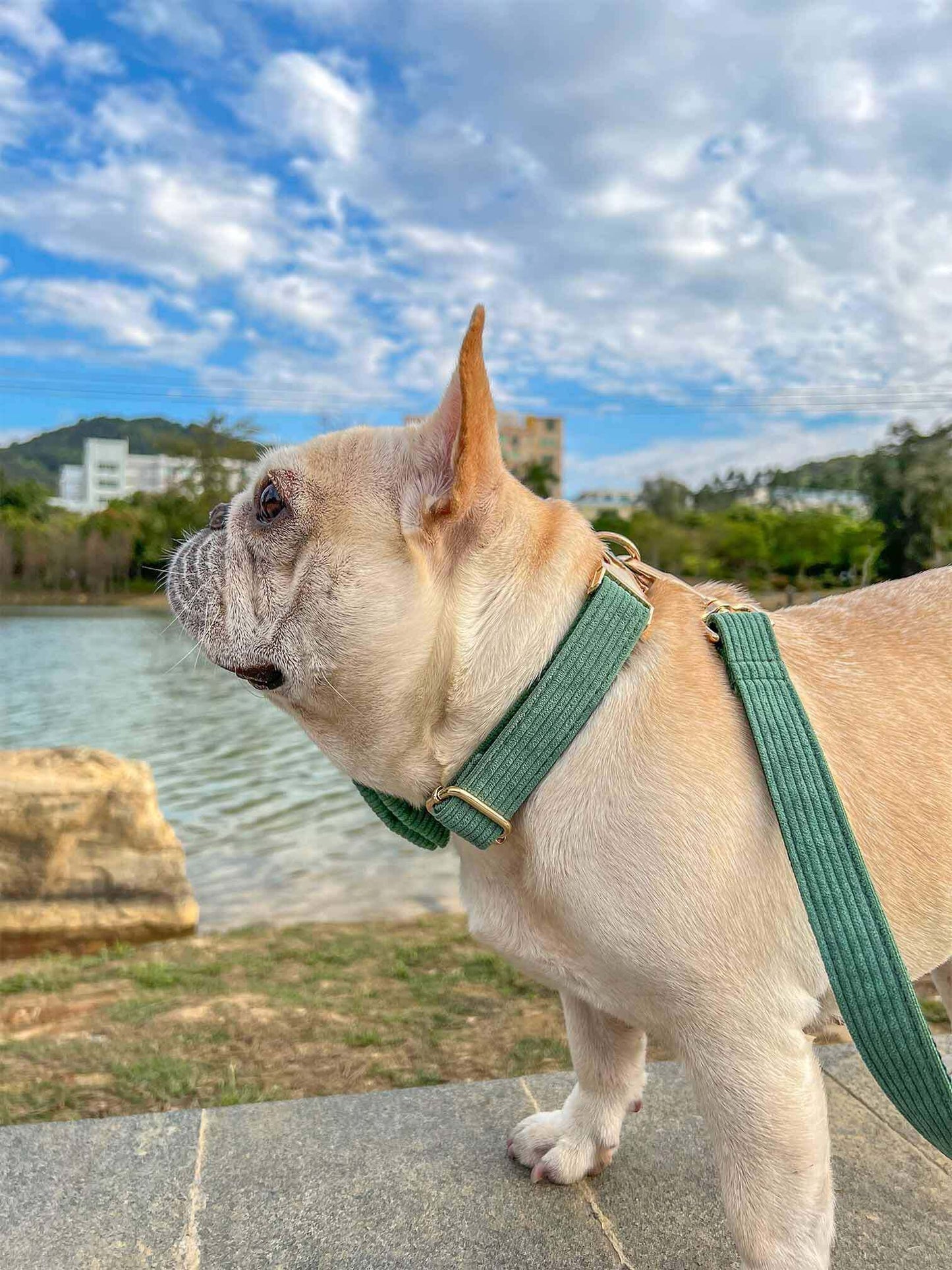 Dog Green Corduroy Leash - Frenchiely