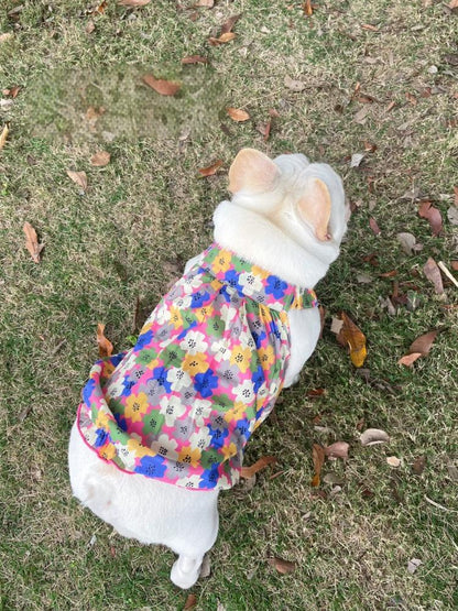 Dog Floral Dress for french bulldogs by Frenchiely