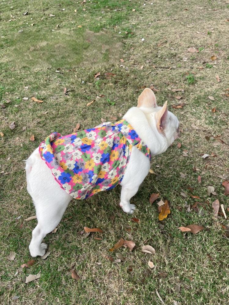 Dog Floral Dress for french bulldogs by Frenchiely