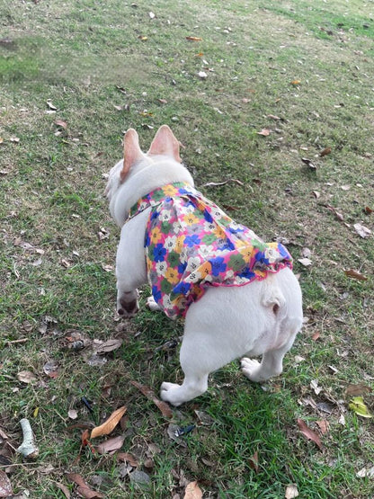 Dog Floral Dress for french bulldogs by Frenchiely