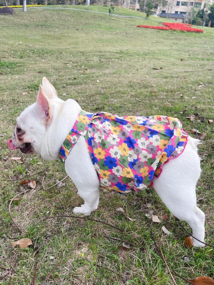 Dog Floral Dress for french bulldogs by Frenchiely