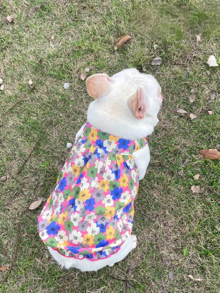 Dog Floral Dress for french bulldogs by Frenchiely