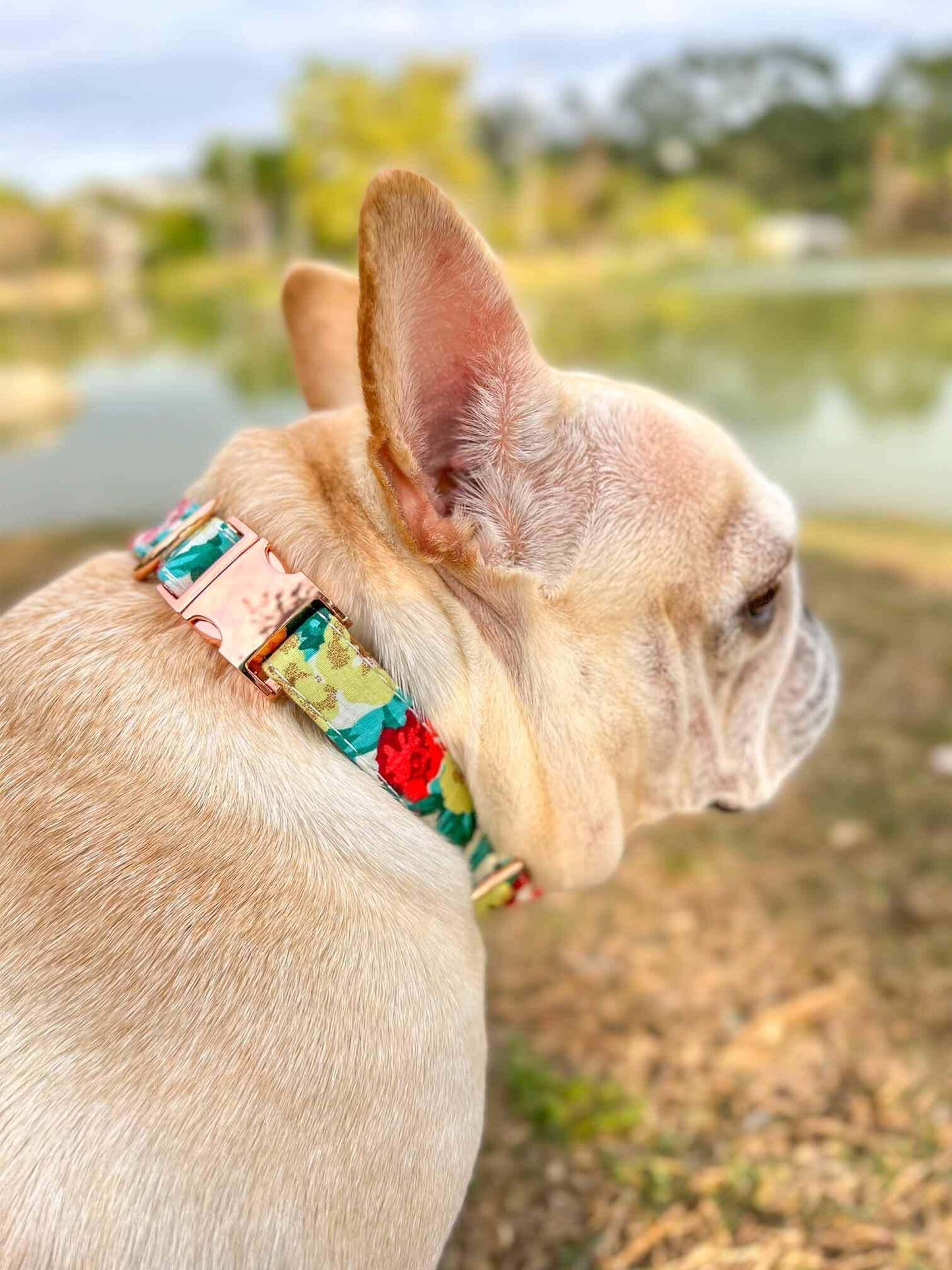 Dog Colored Flower Collar - Frenchiely