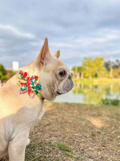 Dog Colored Flower Collar - Frenchiely