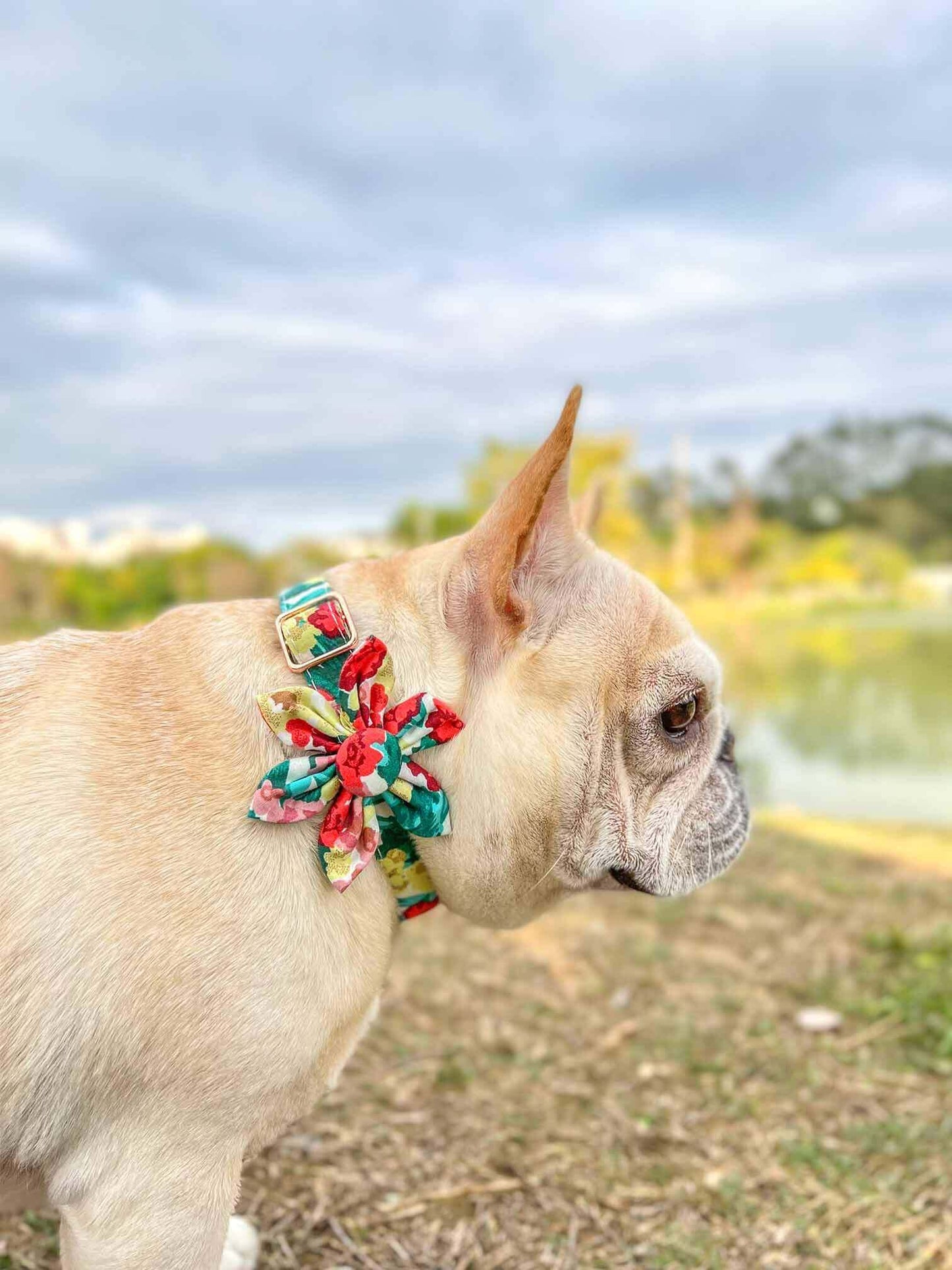 Dog Colored Flower Collar - Frenchiely