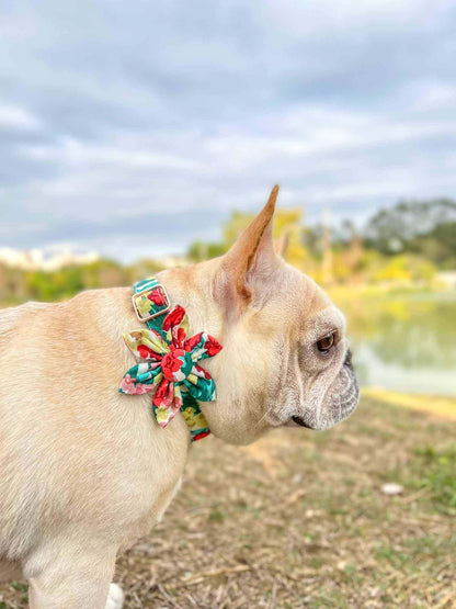 Dog Colored Flower Collar - Frenchiely