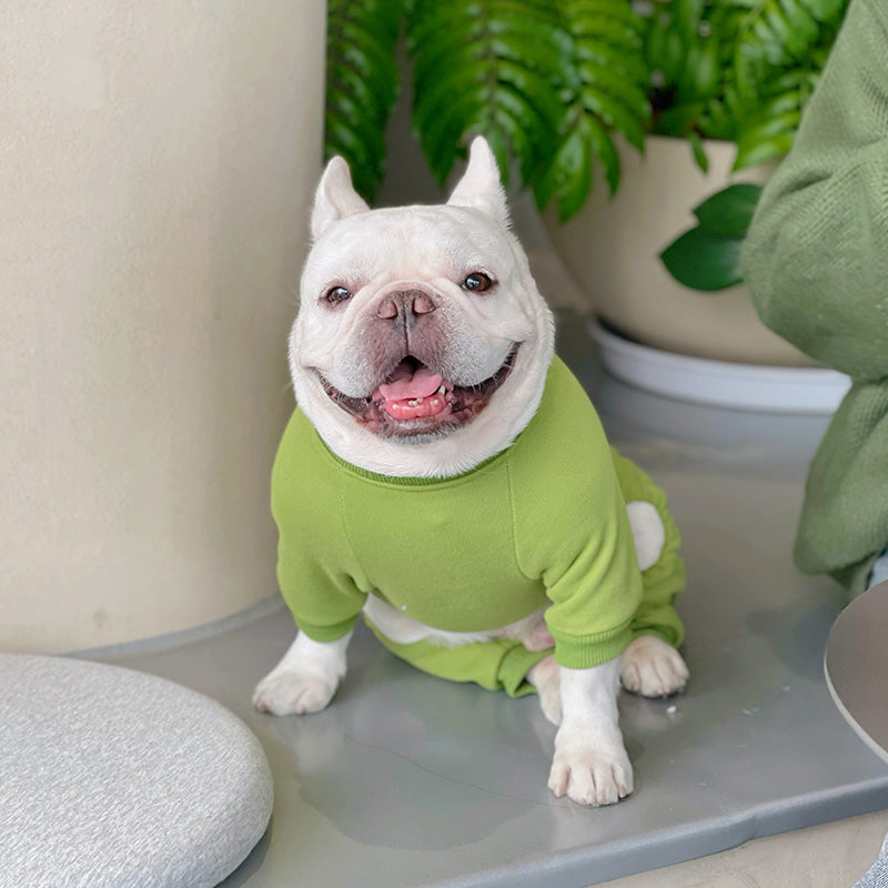 Dog Winter Green Bear Pajamas - Frenchiely