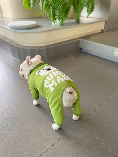 Dog Winter Green Bear Pajamas - Frenchiely