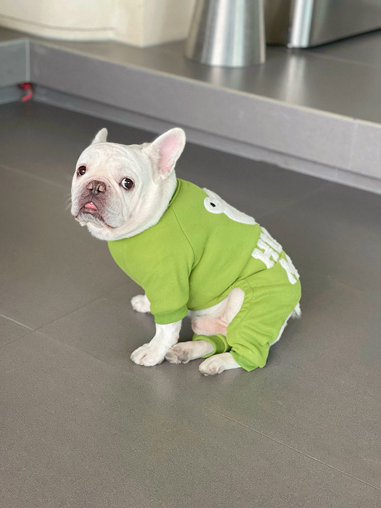 Dog Winter Green Bear Pajamas - Frenchiely