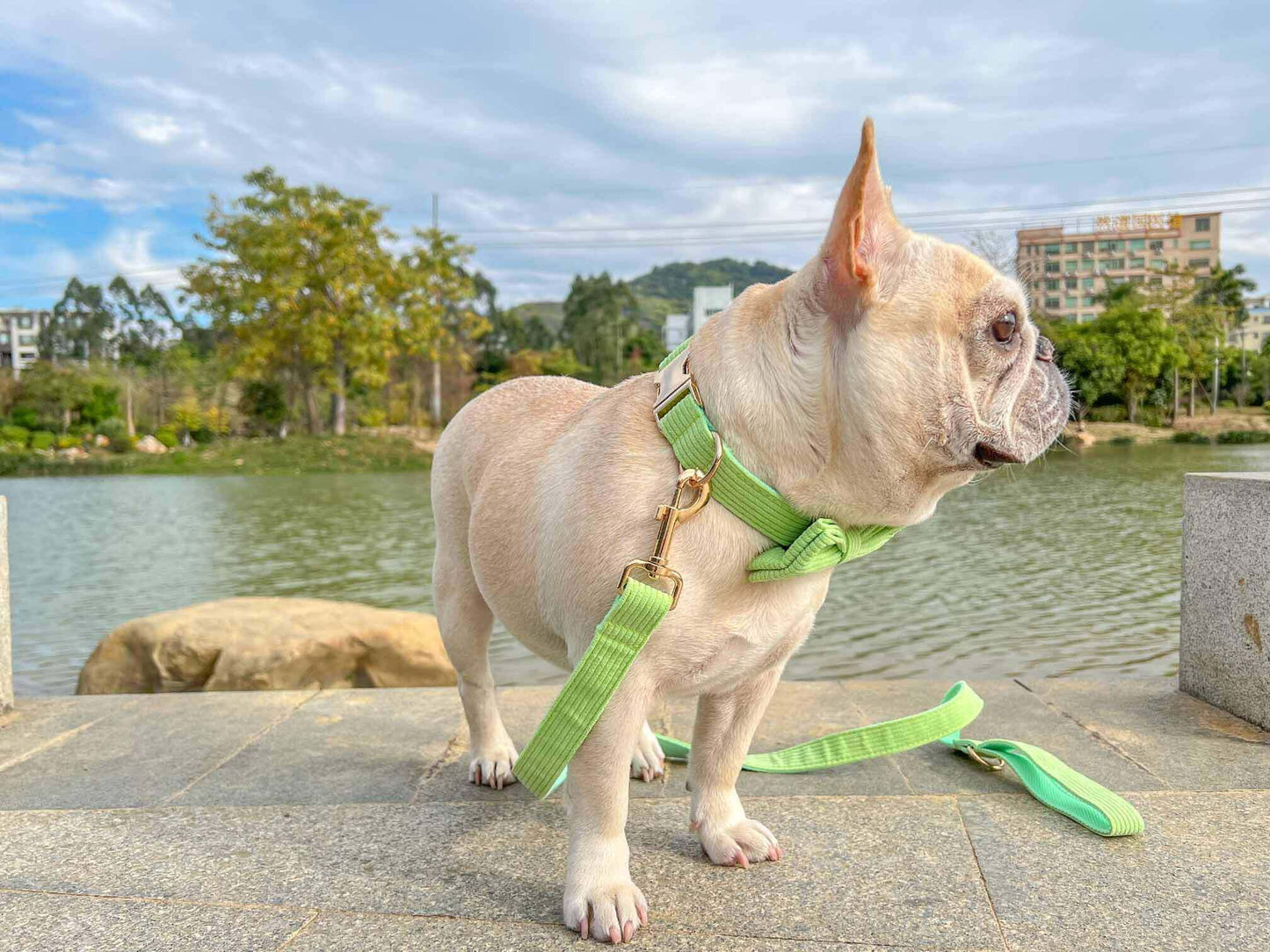 Dog Green Corduroy Leash - Frenchiely