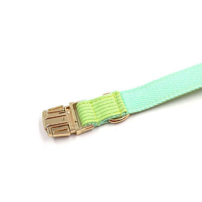 Dog Green Collar Leash Set - Frenchiely