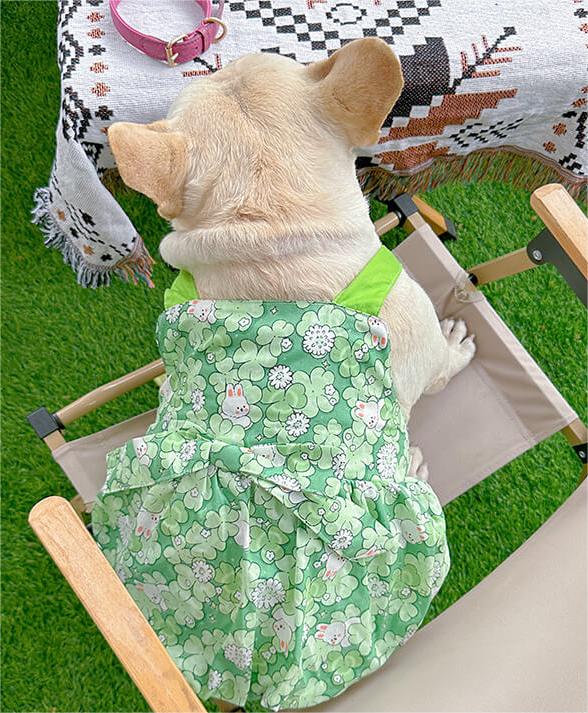 Dog green floral dress with bowtie for small medium dogs by Frenchiely